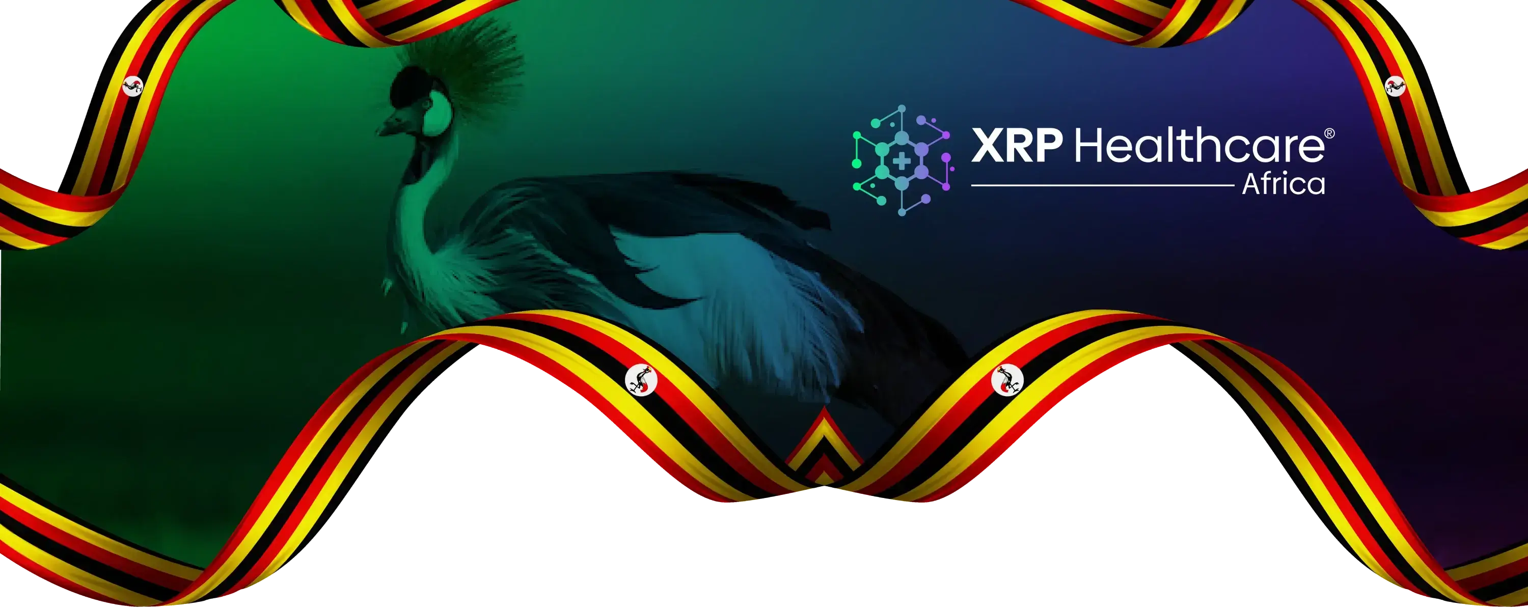 XRP Healthcare Africa