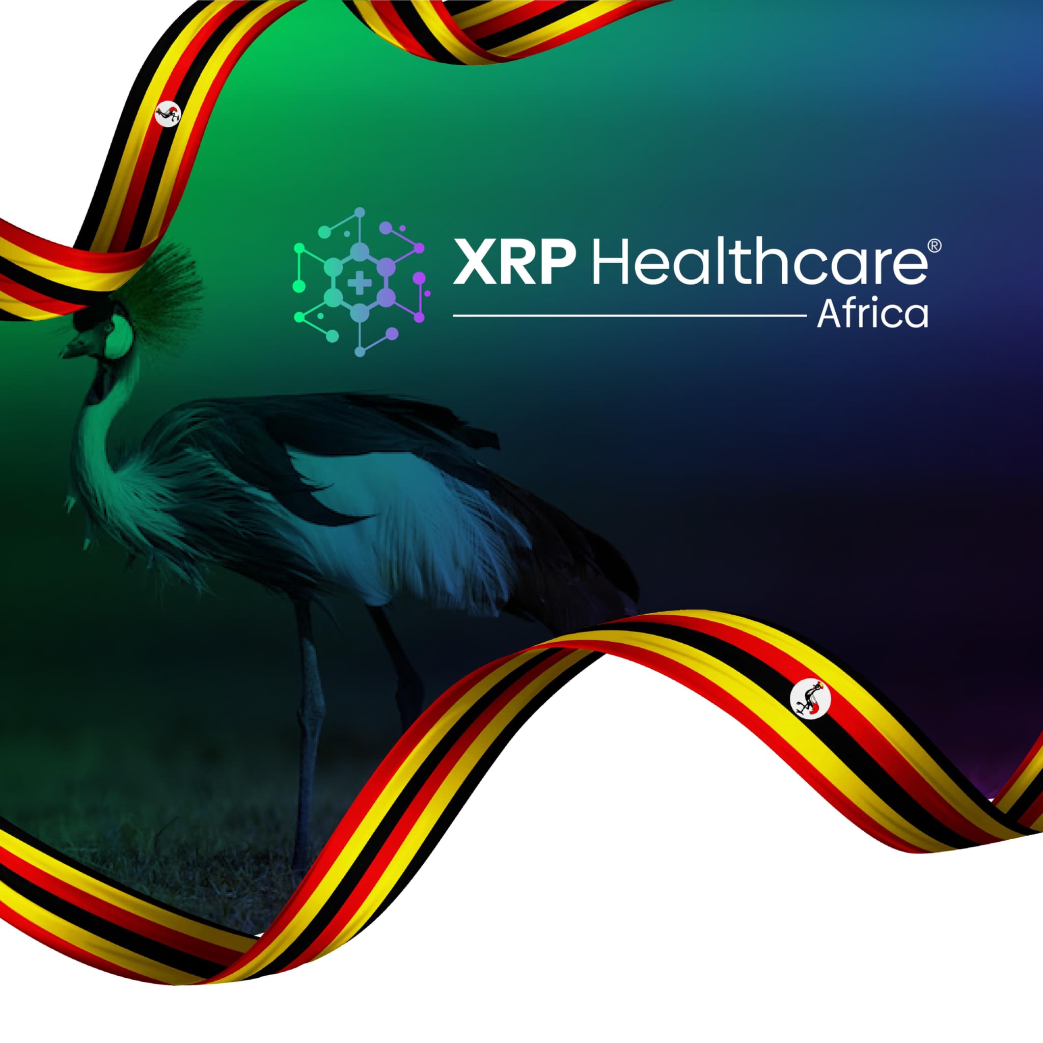 XRP Healthcare avanza como una sola entidad para su proyecto africano de M&A